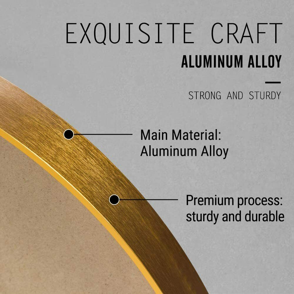 Vera 24" x 32" Oval Vanity Mirror with Metal Frame